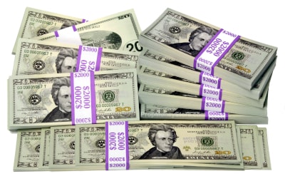 $20 current style full print money bundle